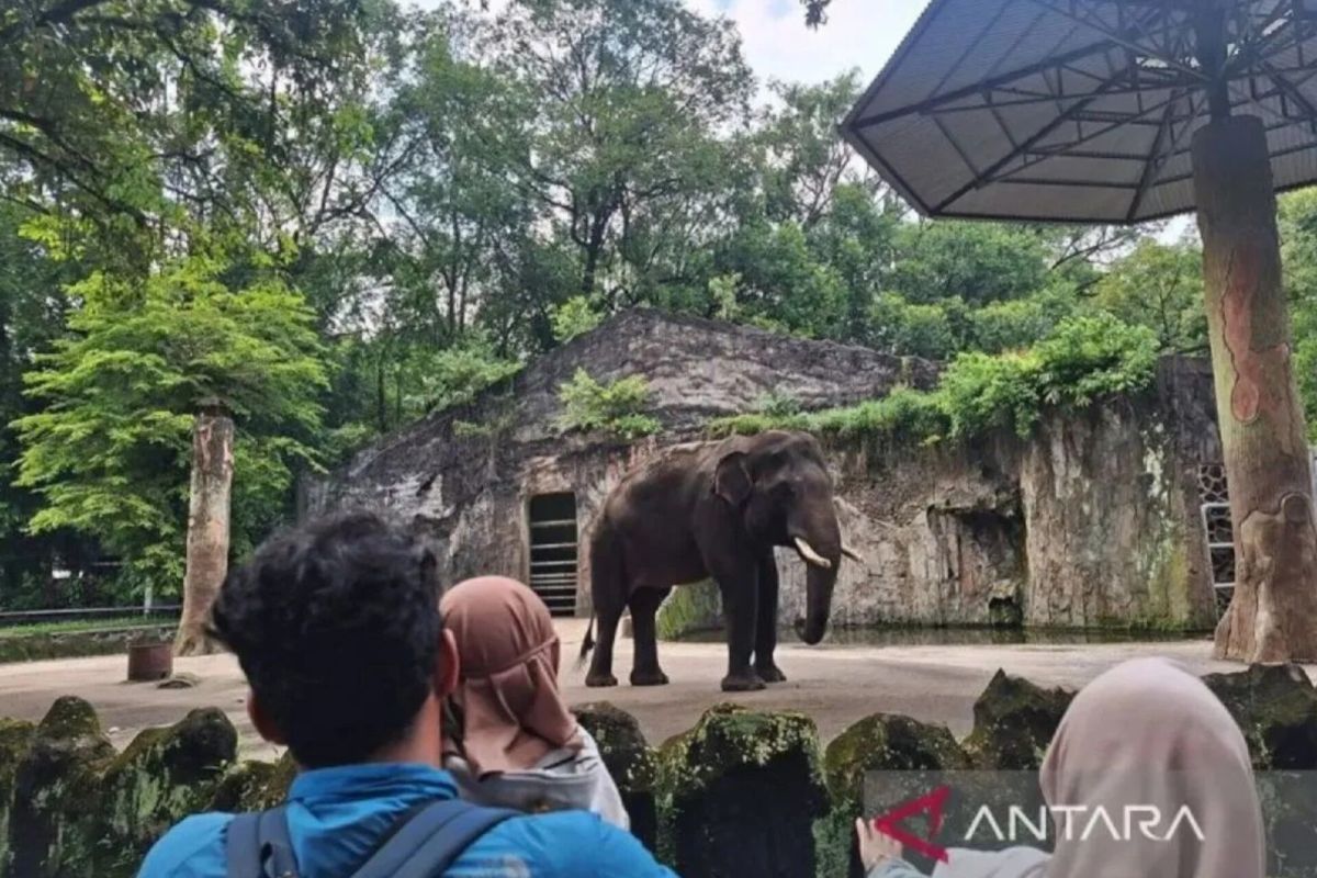 421.869 wisatawan kunjungi Taman Margasatwa Ragunan pada libur Lebaran