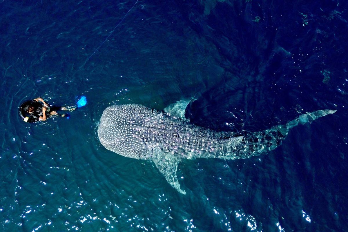 Kemenpar siapkan langkah strategis untuk tingkatkan keamanan berwisata