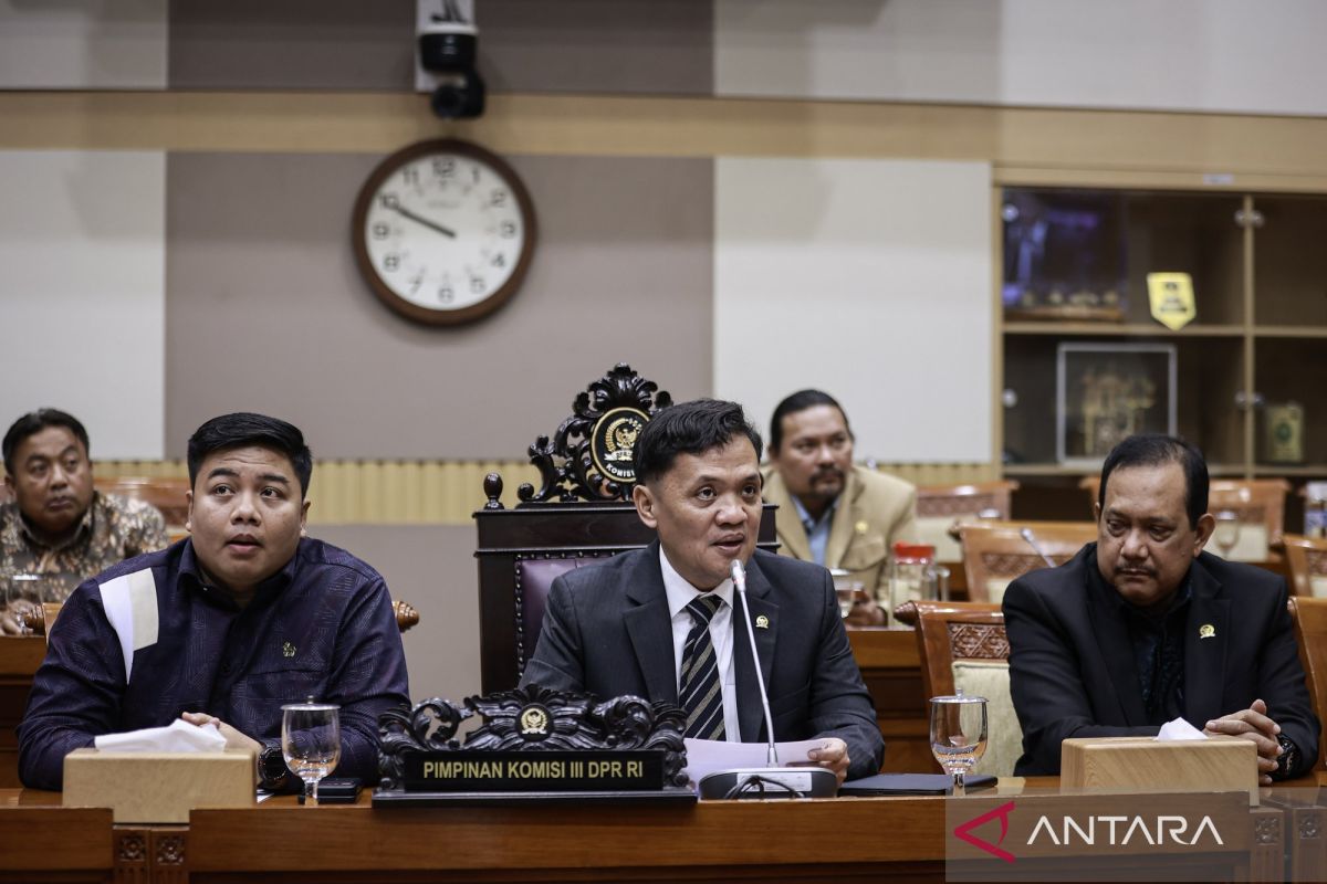 Komisi III DPR harap hakim bijak dalam kasus videografer Amsal Sitepu