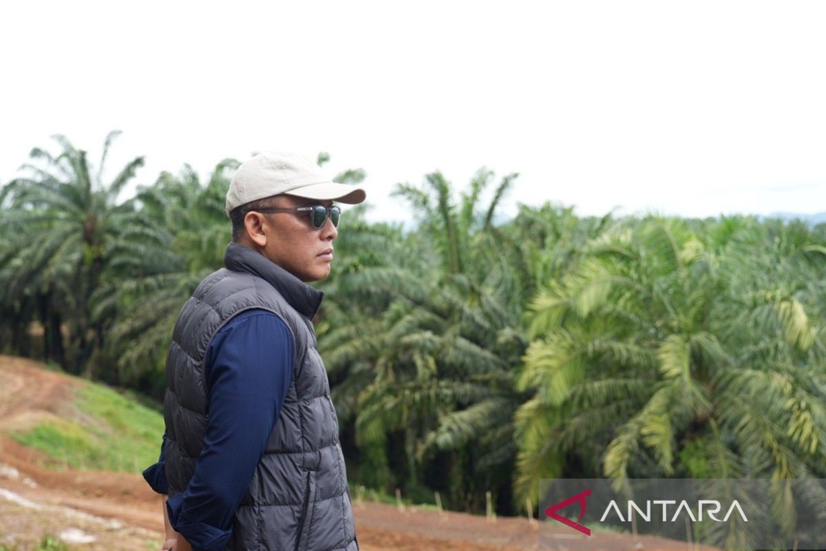 Siaga Kemarau, PTPN IV PalmCo Perkuat Deteksi Dini Karhutla dan Strategi Agronomi