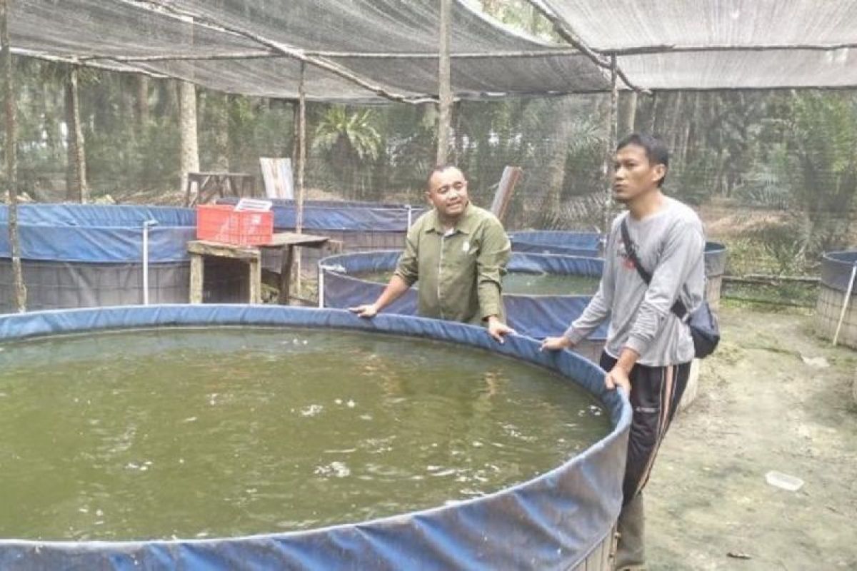 Lewat Pembinaan UMKM, PT Sari Lembah Subur Dorong Perekonomian Desa Tumbuh Berkelanjutan