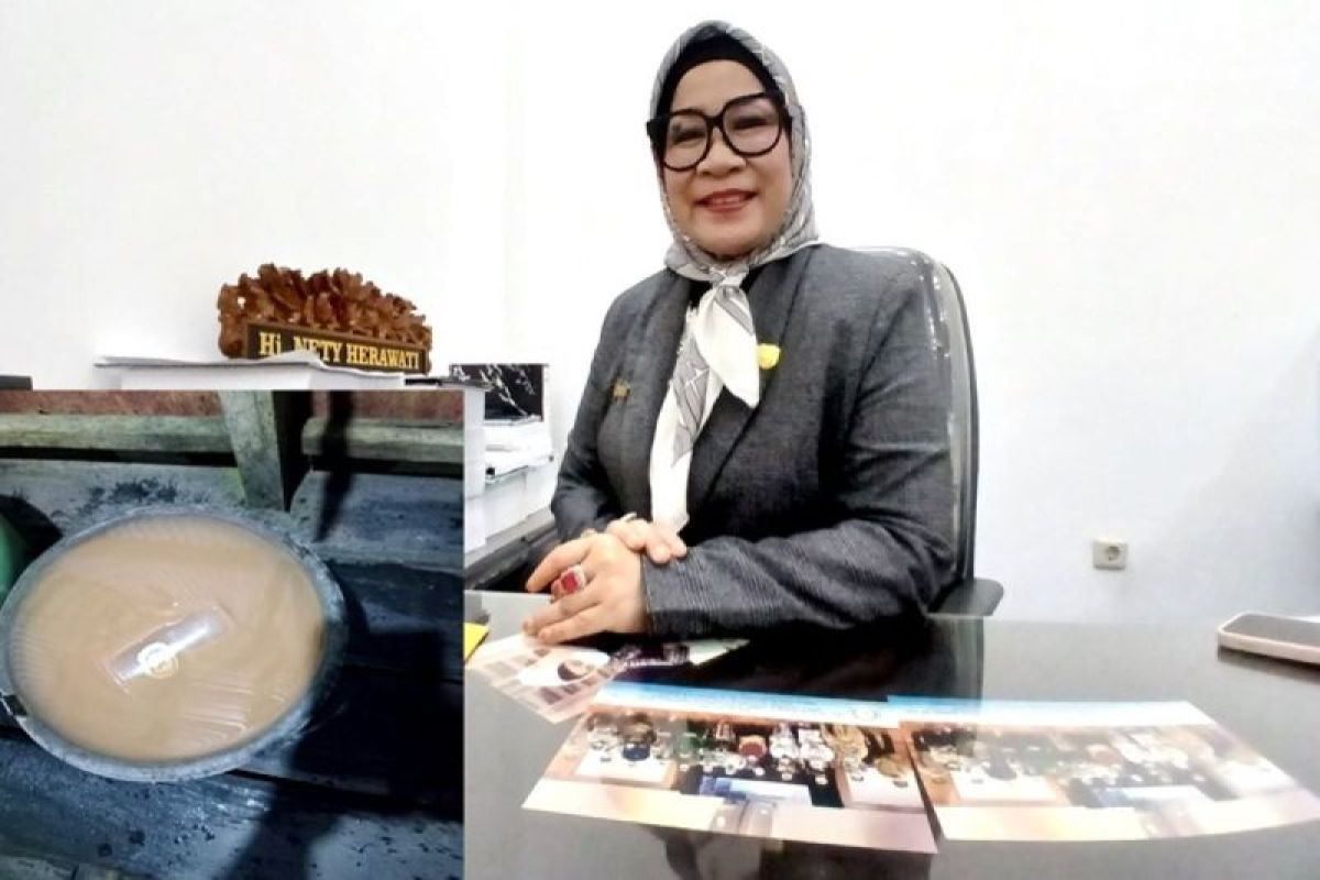 Ketua Komisi I DPRD Barut soroti air PDAM keruh di Jambu dan Jingah