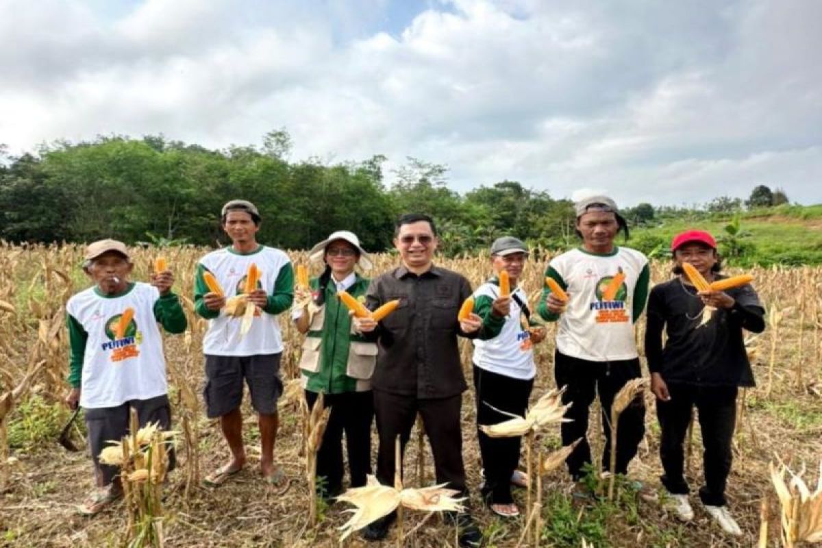 Ketua Komisi II DPRD Barut minta petani tanam pangan pendamping hadapi El Nino