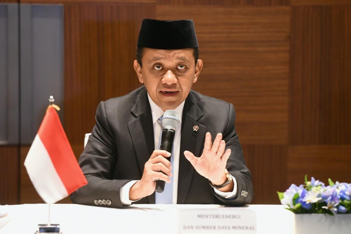 Menteri Indonesia dan Korea Selatan Sepakati Kerja Sama Energi Bersih