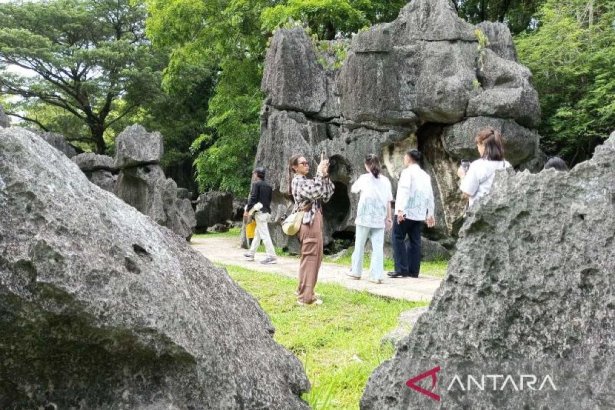 Wisman yang datang ke Sulsel capai 2.925 orang