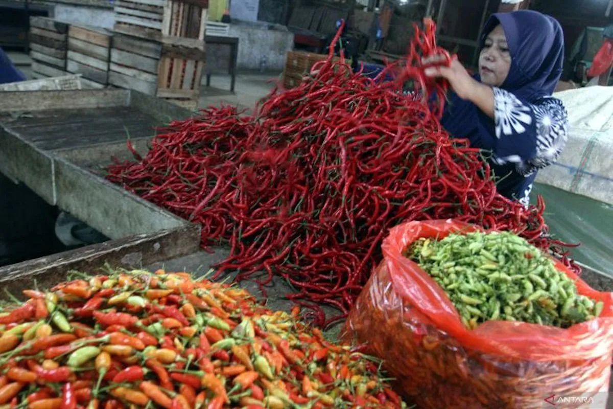 PIHPS: Harga cabai rawit merah Rp91.700/kg, daging ayam Rp39.800 kg
