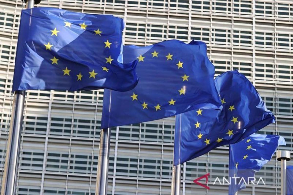 UE sampaikan belasungkawa atas gugurnya penjaga perdamaian RI