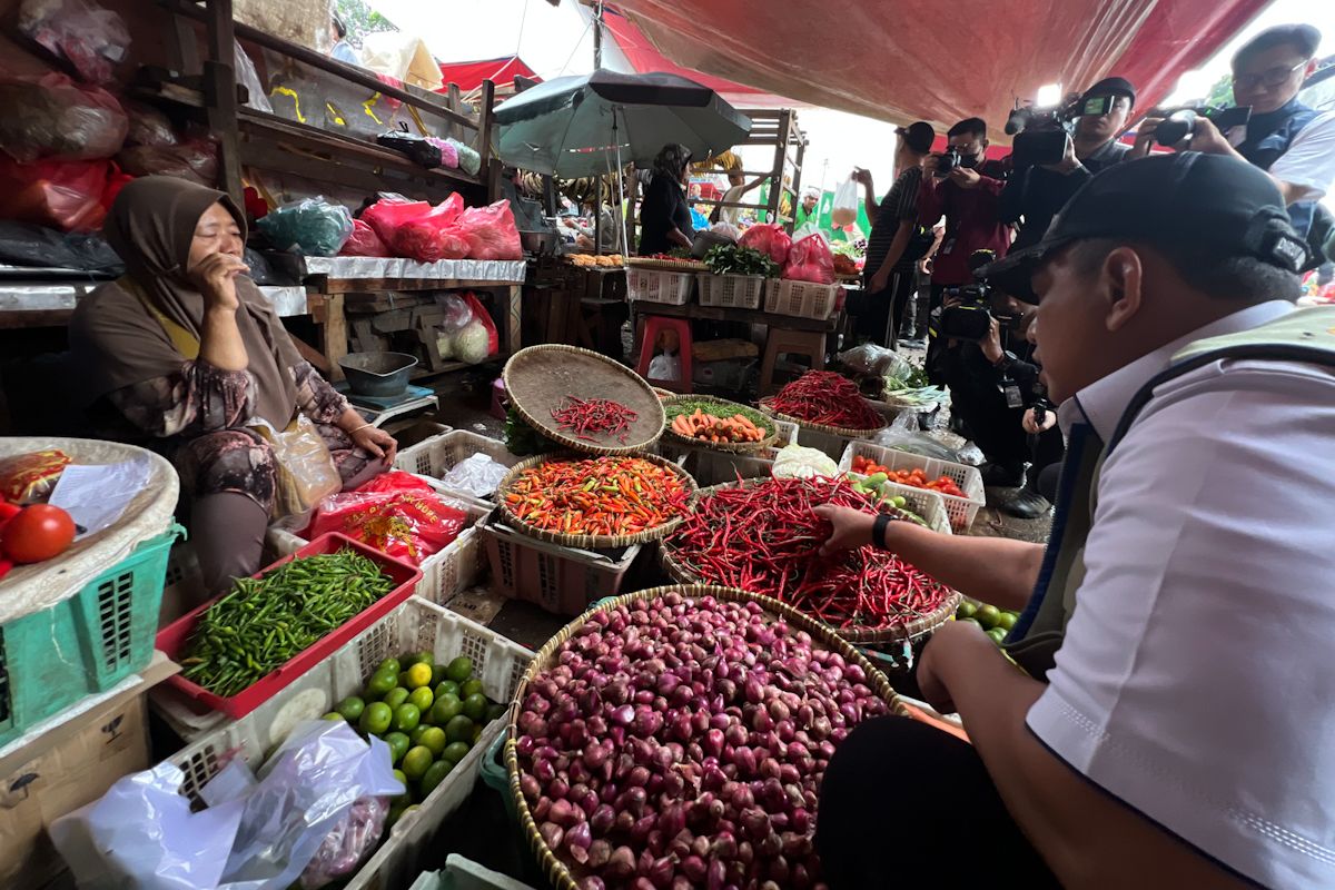 PIHPS: Harga cabai rawit merah Rp119.400/kg, daging ayam Rp52.150/kg