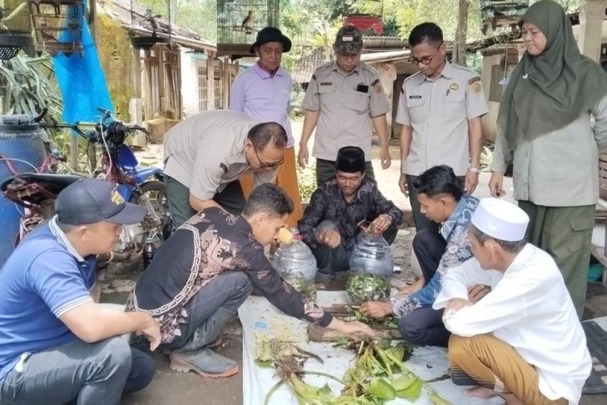 Petani Probolinggo manfaatkan eceng gondok untuk menyuburkan lahan