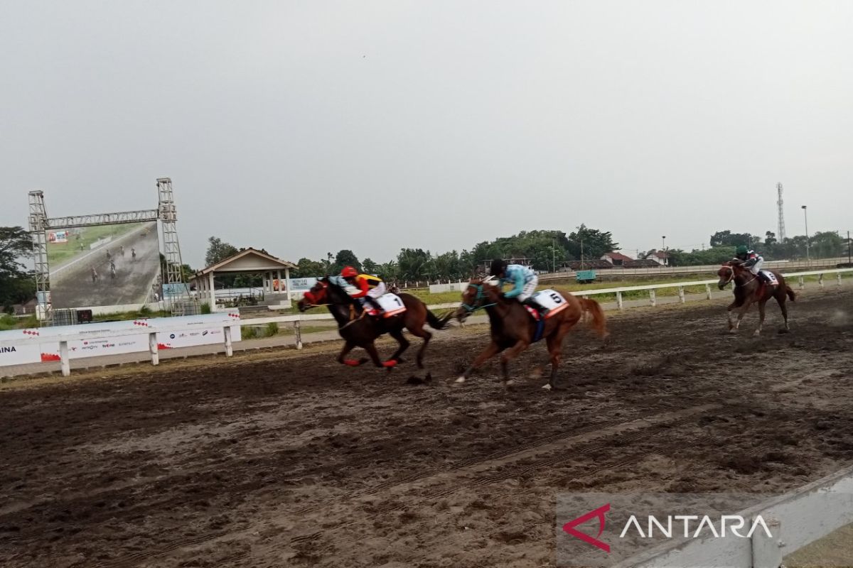 Sebanyak 138 kuda ikuti kejuaraan pacuan kuda di Stadion SSA Bantul