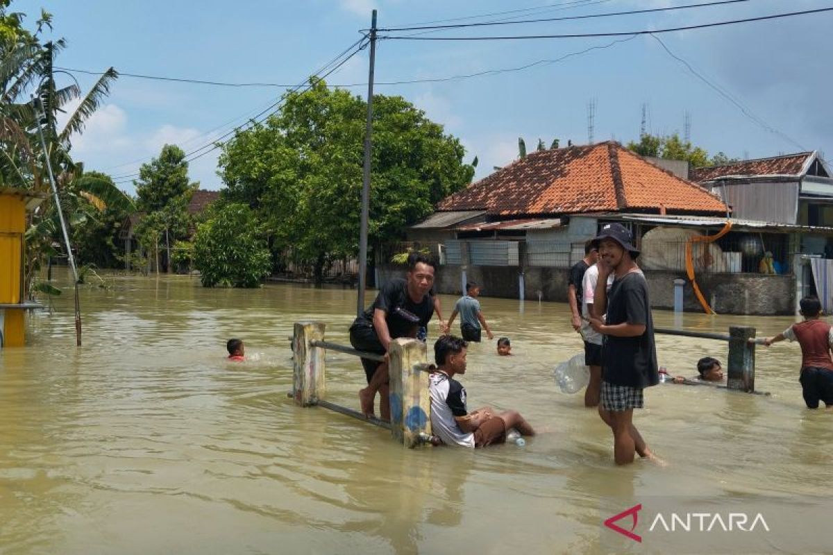 BBWS usulkan bangunan pengendali dua aliran sungai atasi banjir Demak