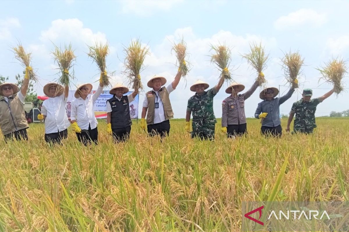 Dirut Bulog pastikan target penyerapan 4 juta ton beras 2026 tercapai