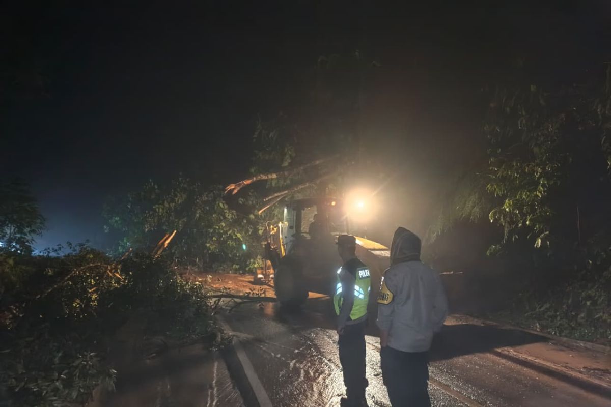 Jalan lintas Sungai Penuh-Tapan sudah bisa dilalui pascalongsor