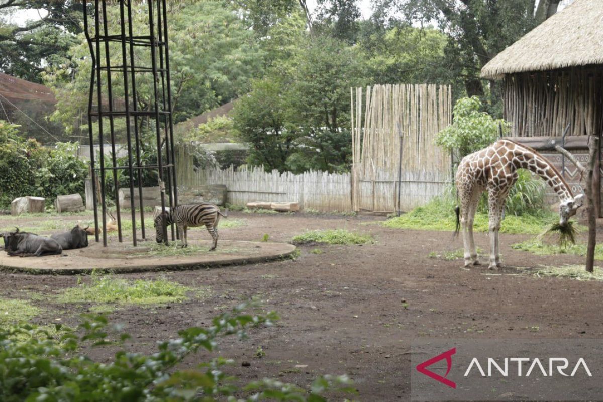DPRD Jabar minta seleksi pengelola baru Bandung Zoo transparan