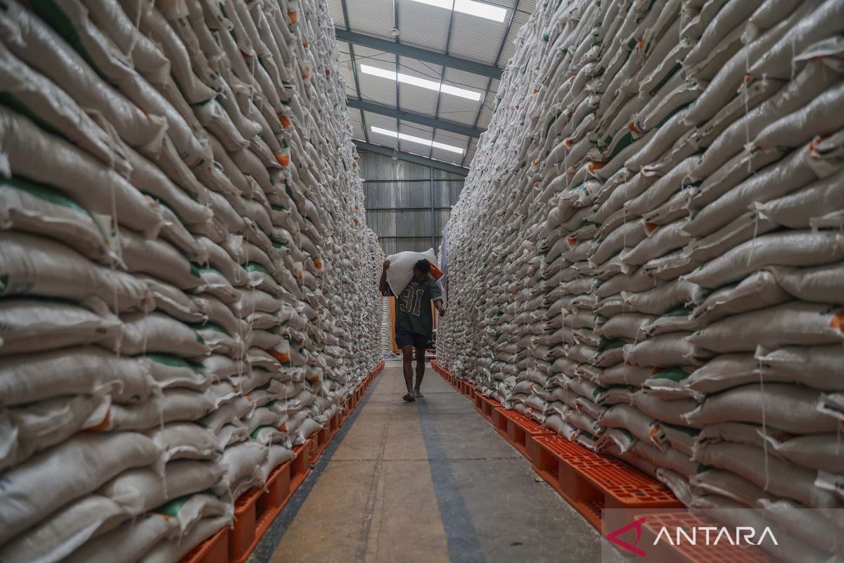 Stok cadangan beras nasional capai 4,5 juta ton