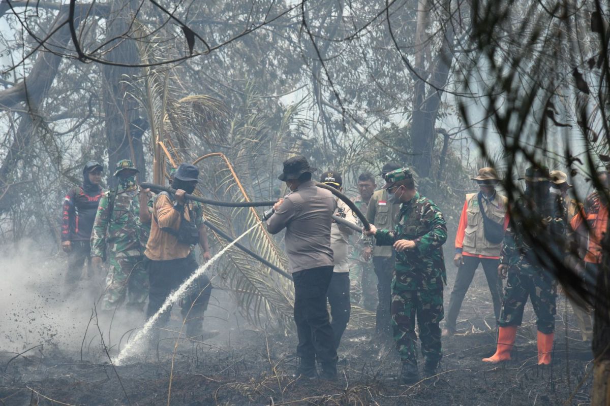 El Nino 2026 diprediksi 80 persen, BMKG alarm bahaya karhutla