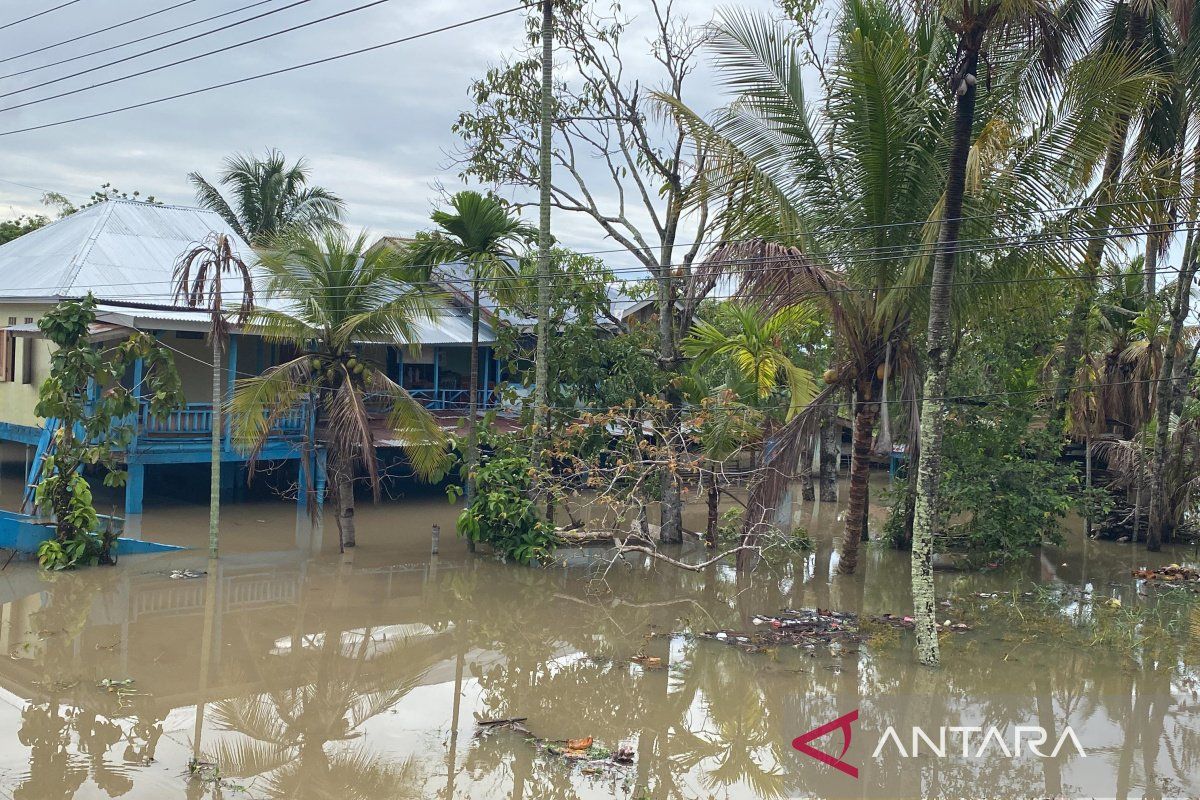 Cuaca ekstrem, ratusan rumah di Kota Bengkulu terendam banjir 1 meter