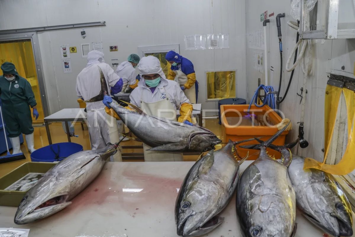 Indonesia dan Jepang jalin kerja sama penguatan SDM perikanan