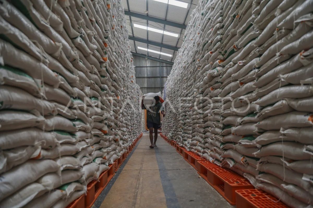 Cadangan beras nasional capai 4,5 juta ton