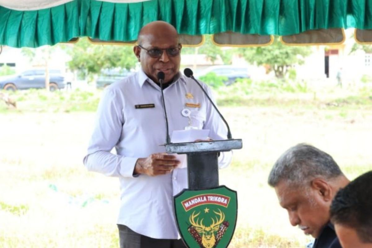 Pemprov Papua Selatan nilai Jembatan Garuda buka akses layanan bagi masyarakat