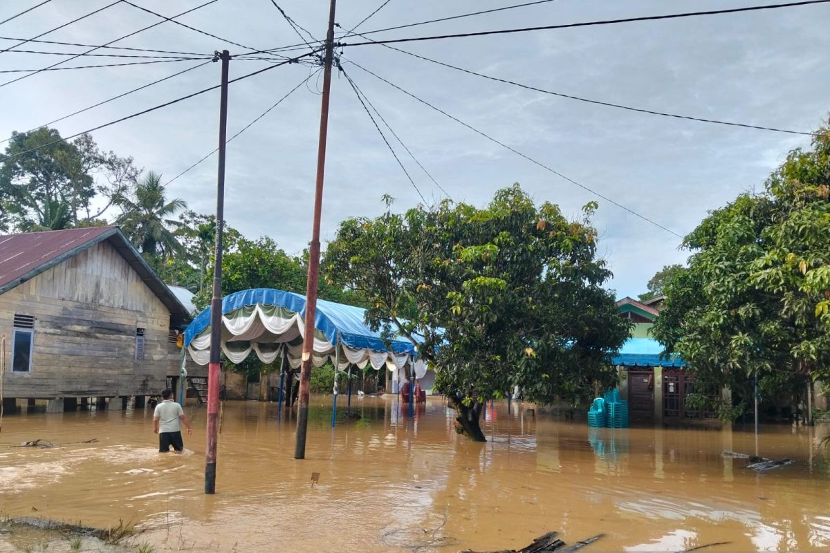 Hujan lebat dua hari, empat desa di Aceh Barat terendam banjir