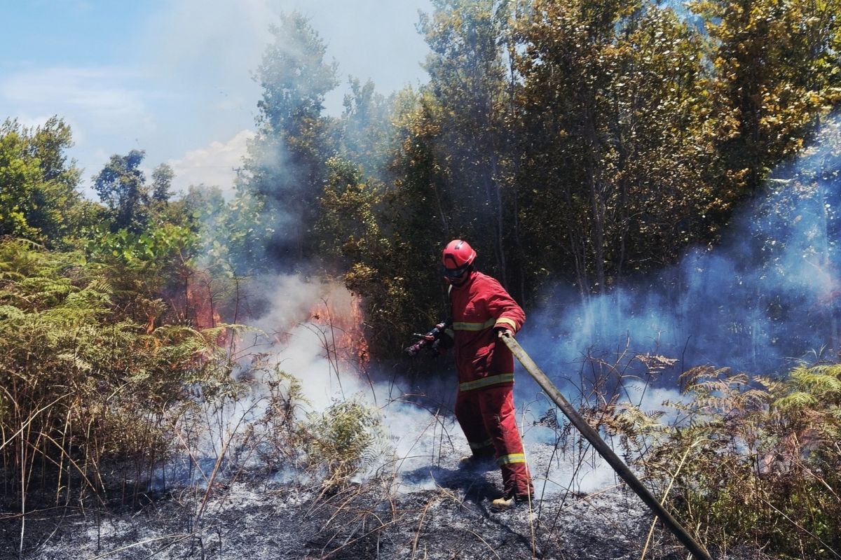 BPBD Natuna catat sebanyak 339 hektare karhutla sepanjang Maret 2026