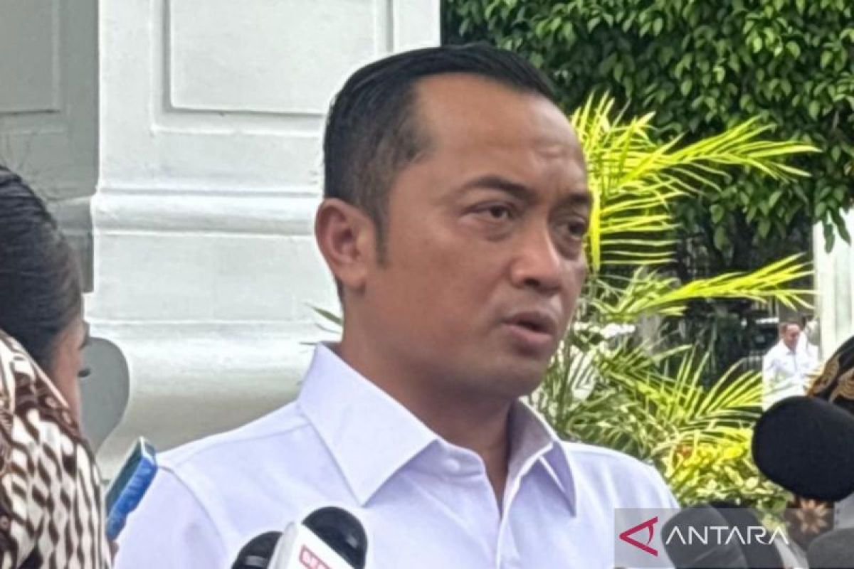 Pemerintah RI Berupaya Stabilkan Tarif Penerbangan di Tengah Kenaikan Harga Bahan Bakar