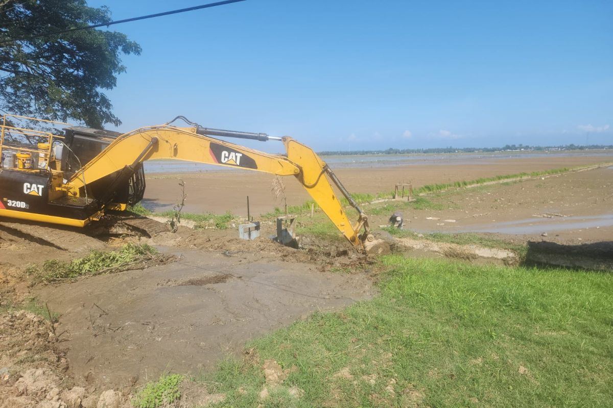 Kementan rehabilitasi 1.093 hektare sawah dampak bencana Aceh Utara