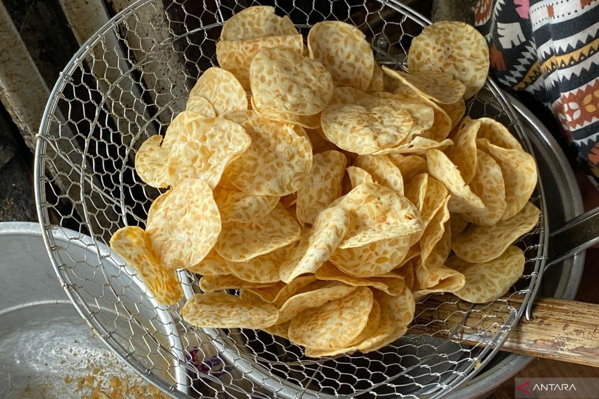 Kurangi impor, pengrajin tempe minta pemerintah perkuat kedelai lokal