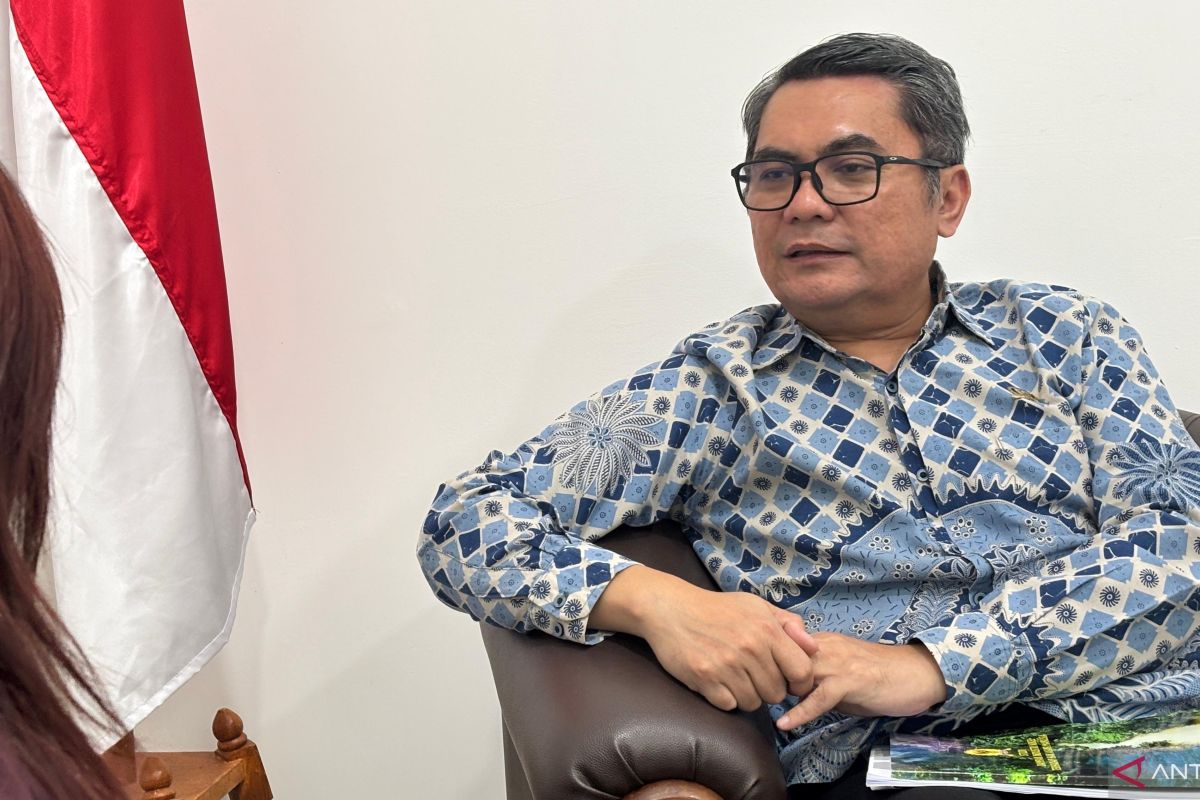 Komnas HAM dorong layanan kesehatan gratis di kawasan nikel Morowali