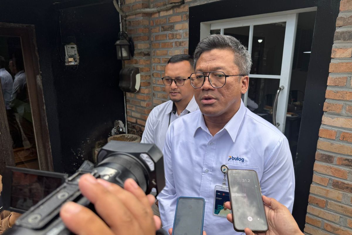 Antisipasi kemarau, Bulog Kalteng optimalkan penyerapan hasil panen