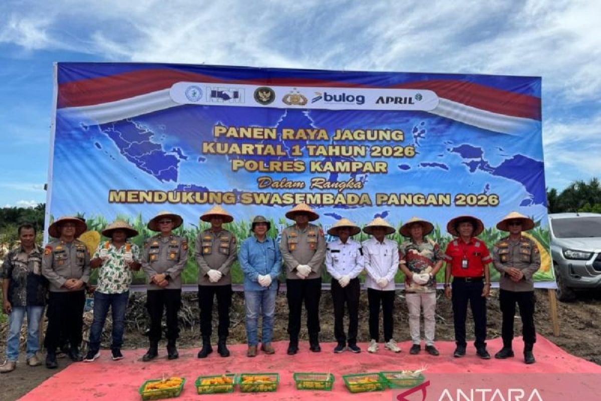 Panen Raya Jagung di Kampar, Sinergi Polres Kampar dan Dunia Usaha Perkuat Swasembada Pangan