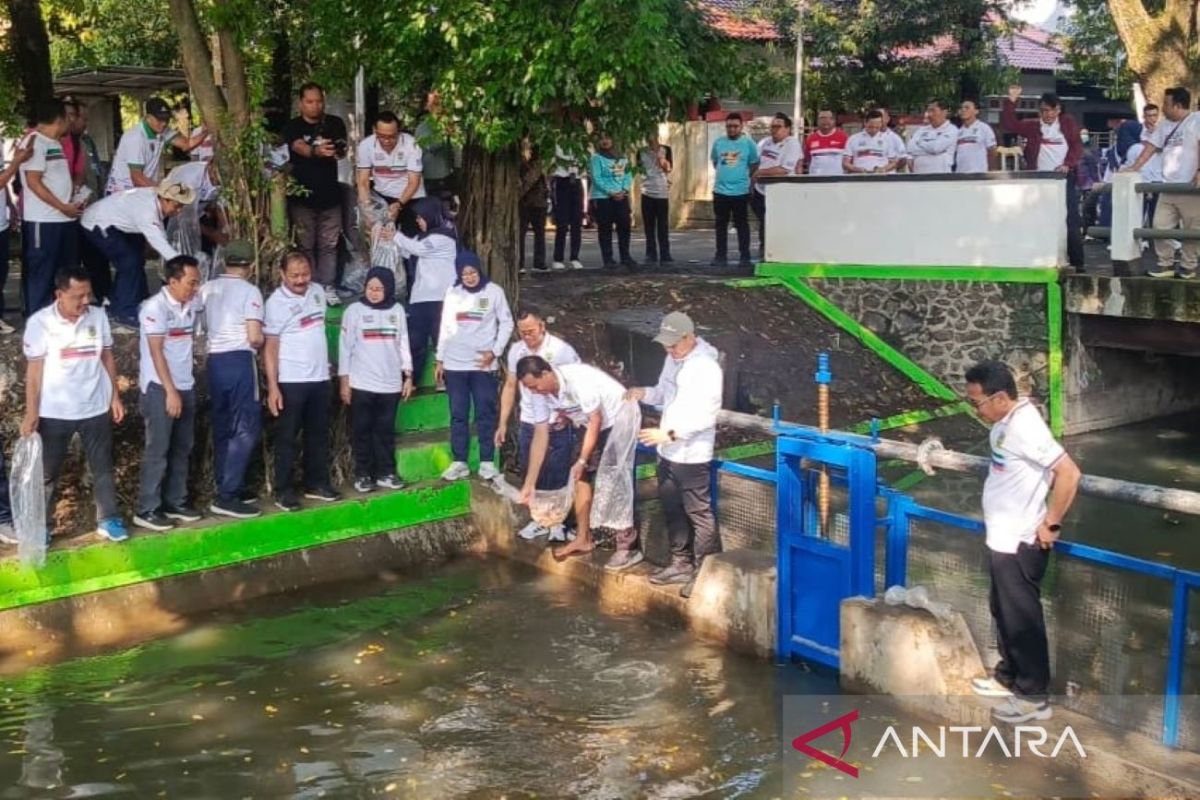 Pemkab Kudus tebar benih ikan di saluran sekunder untuk kampanye kebersihan sungai