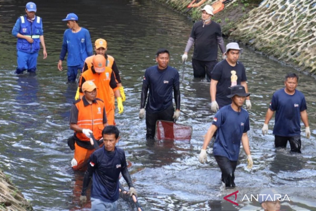Jakarta backs invasive catfish crackdown for ecosystem safety