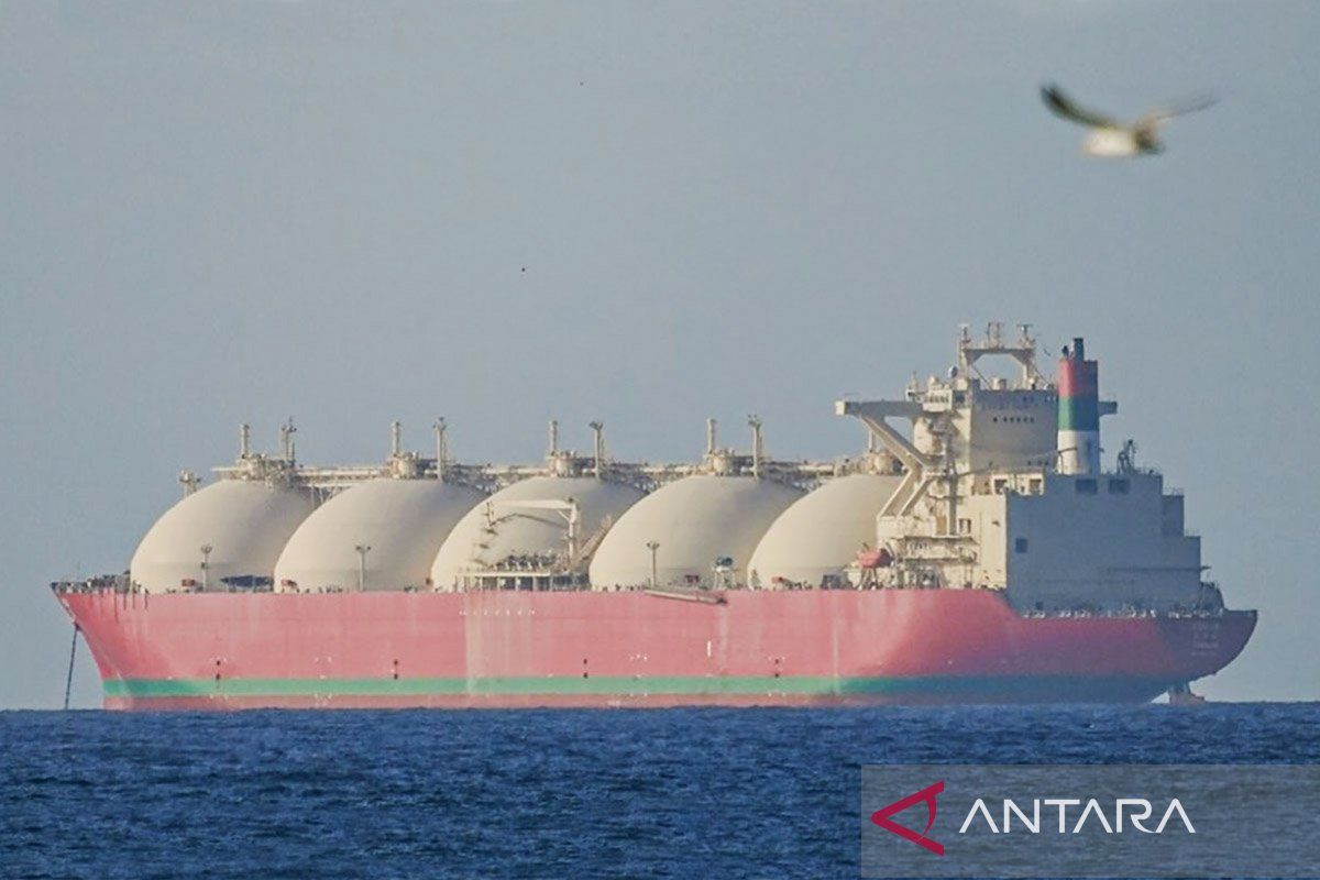 D8: Pakistan, Turki, Mesir terlibat aktif dalam upaya mediasi TimTeng