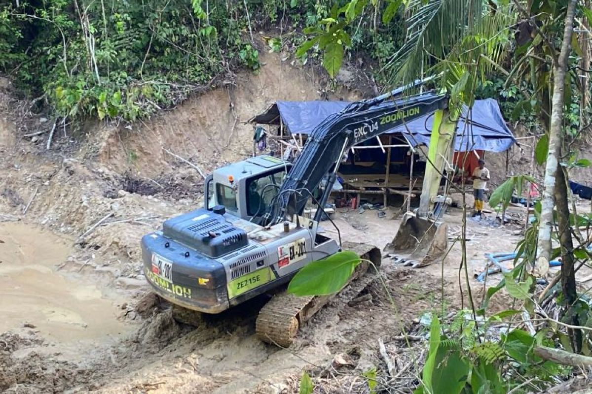 Menteri ESDM segera eksekusi penertiban pertambangan ilegal