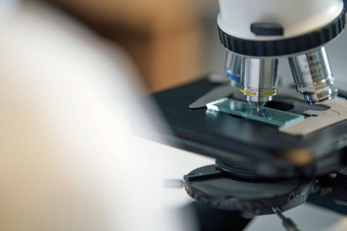 BPDP buka Program Grant Riset 2026 untuk dorong inovasi perkebunan