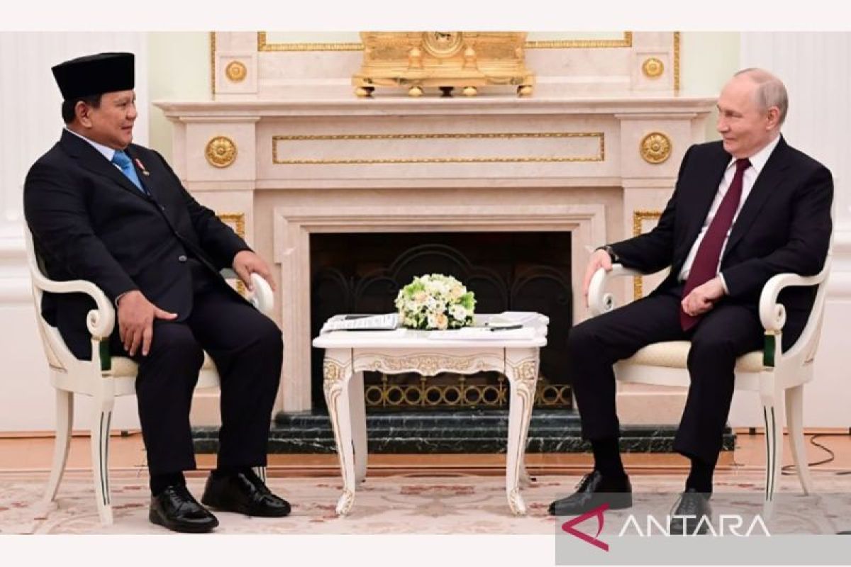 Nilai perdagangan RI-Rusia capai Rp87,5 T per akhir 2025