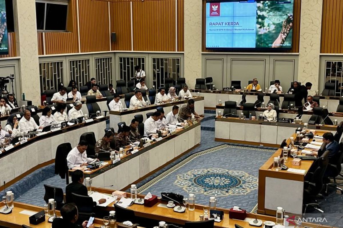 Menhut: Pasar karbon peluang RI capai target iklim, ekonomi hijau