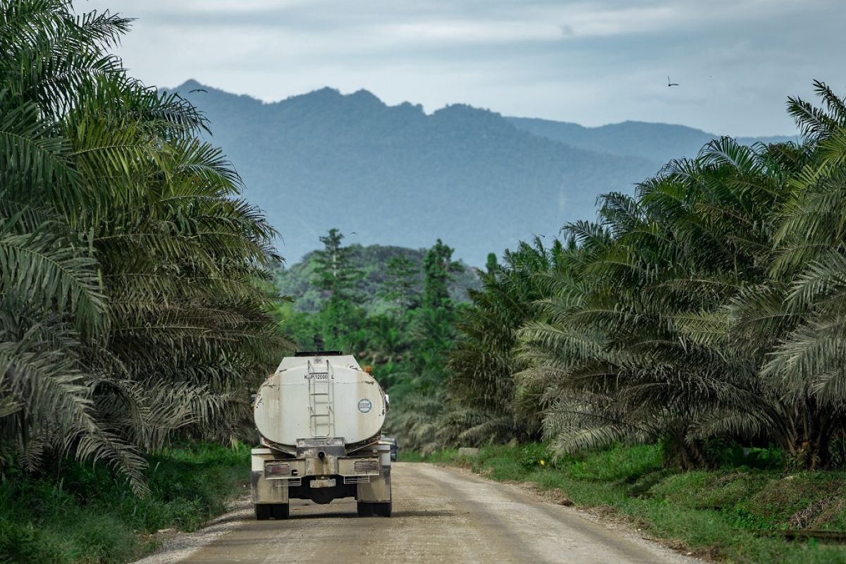 Akademisi sebut program biodiesel efektif tekan impor BBM