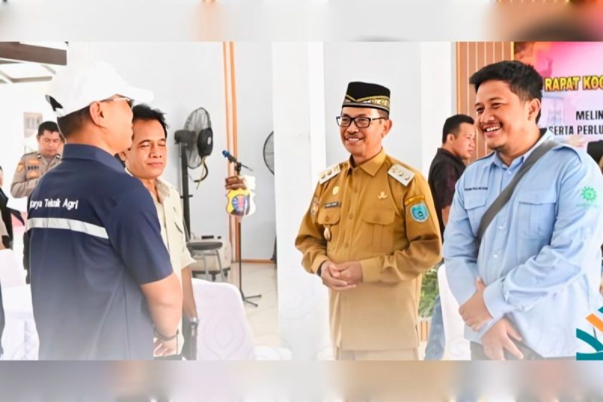 Wabup Lamandau sebut pentingnya strategi hilirisasi dukung ketahanan pangan