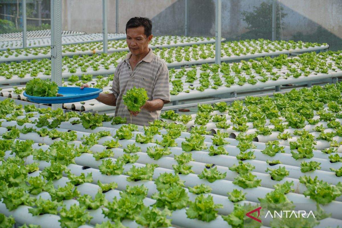 Anggota DPR minta perkuat mitigasi hadapi ancaman "El Nino Godzilla"