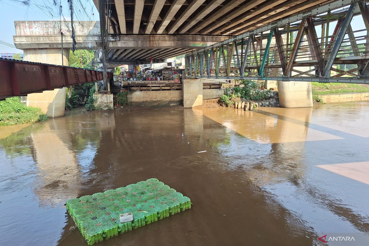 Nelayan nilai pemberantasan ikan sapu-sapu di Ciliwung tidak mudah