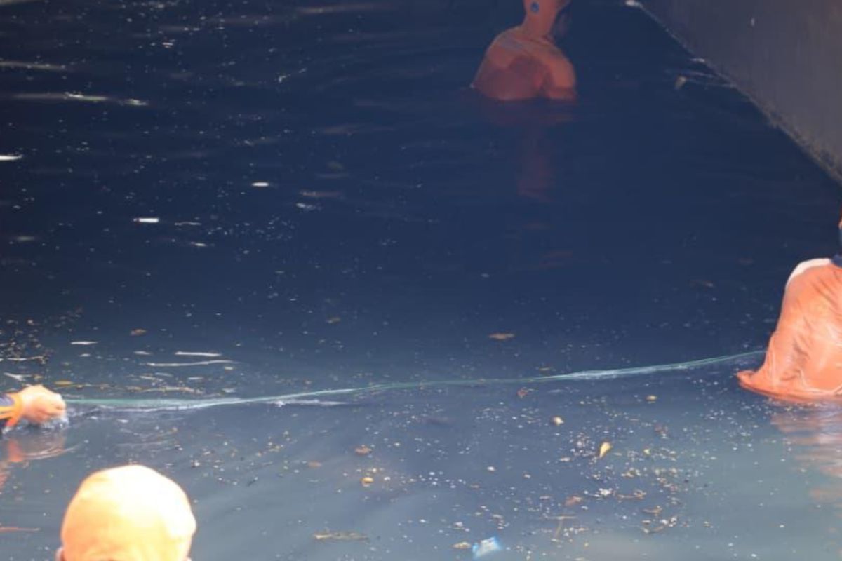 Pemkot bersihkan Kali Penghubung Kelapa Gading dari ikan sapu-sapu