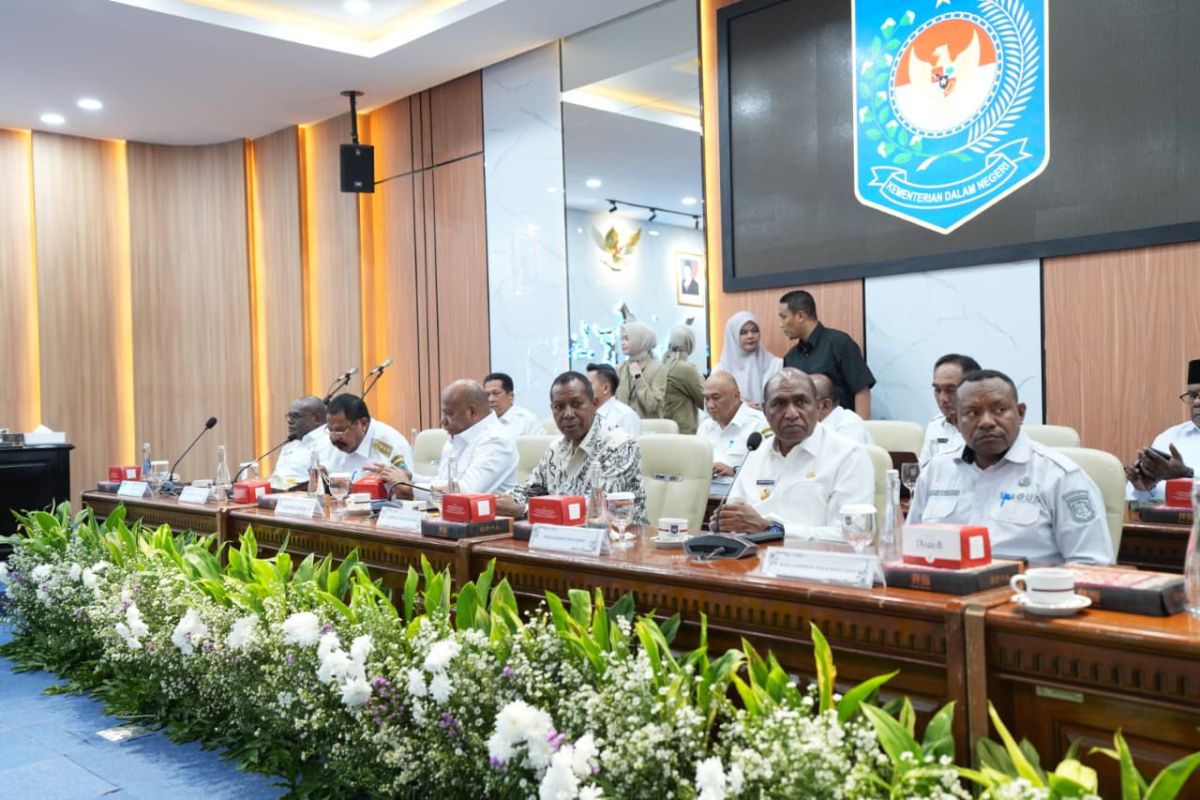 Wagub PBD dukung program pembangunan 21 ribu rumah warga Papua