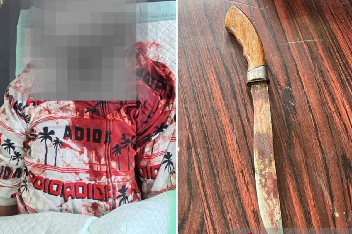 Polres Jayawijaya dalami kasus penikaman di Pasar Jibama Wamena