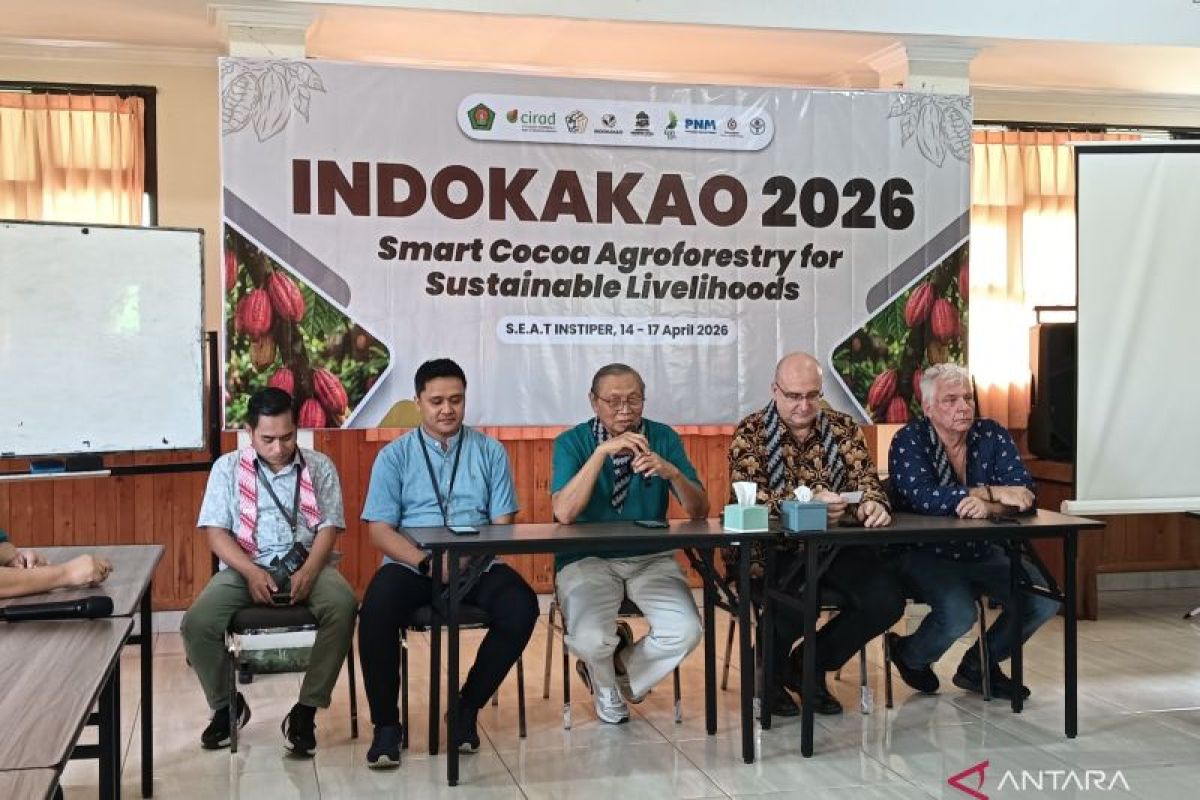PSLB Instiper-CIRAD perkuat transformasi kakao nasional