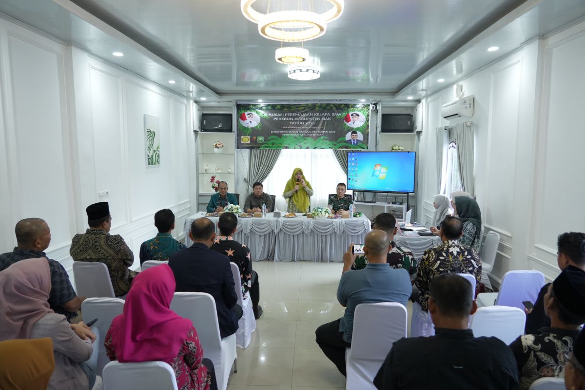 Pemkab Siak targetkan peremajaan sawit rakyat 750 ha tahun ini