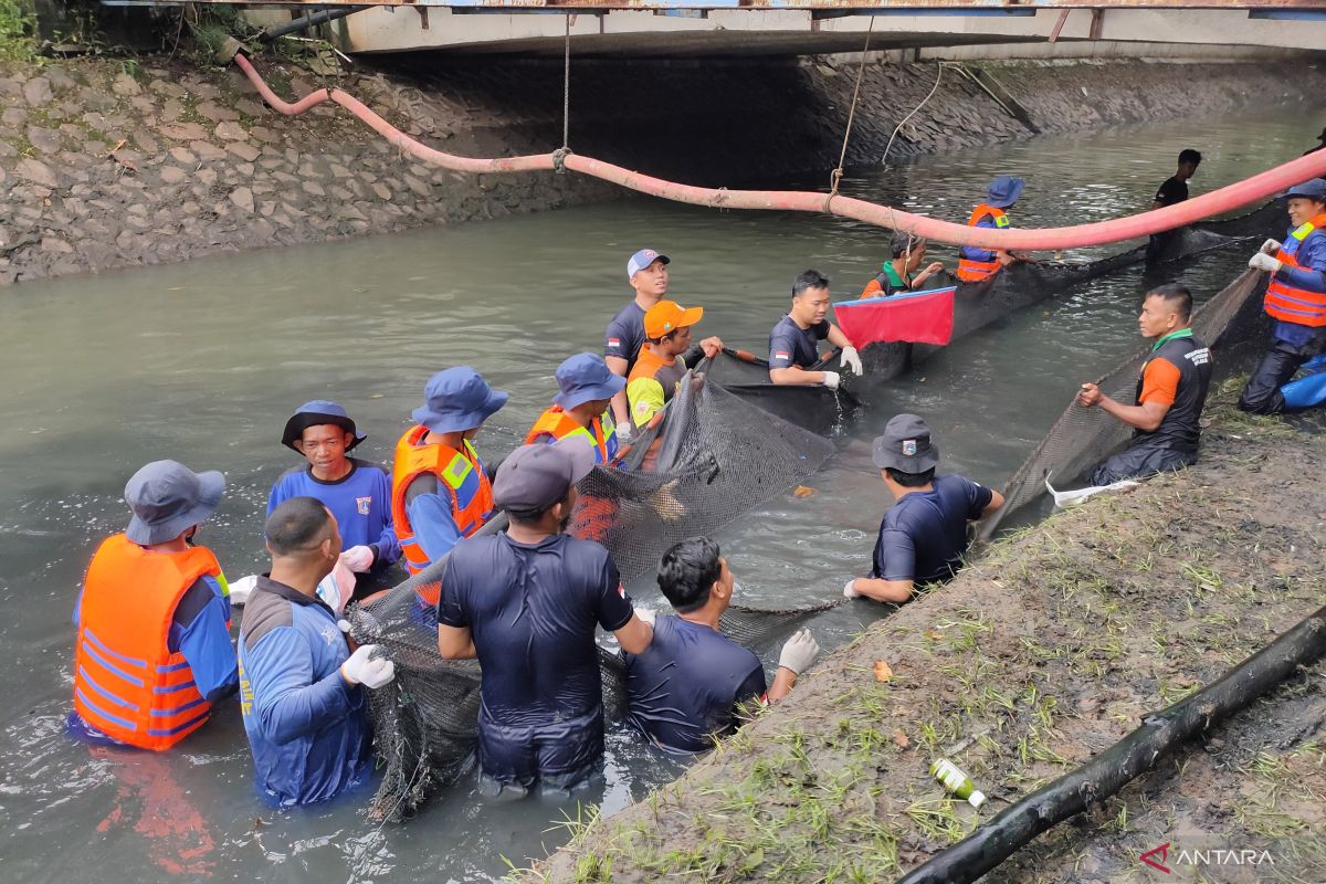 Pemkot Jakbar beri hadiah bagi petugas yang tangkap ikan sapu-sapu