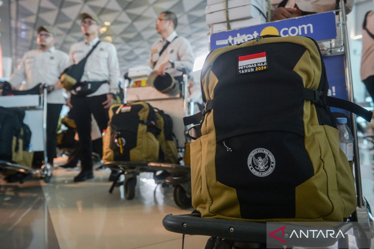 Wamenhaj ungkap sempat ada kendala visa petugas haji, kini tuntas